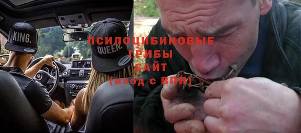 ешки Надым