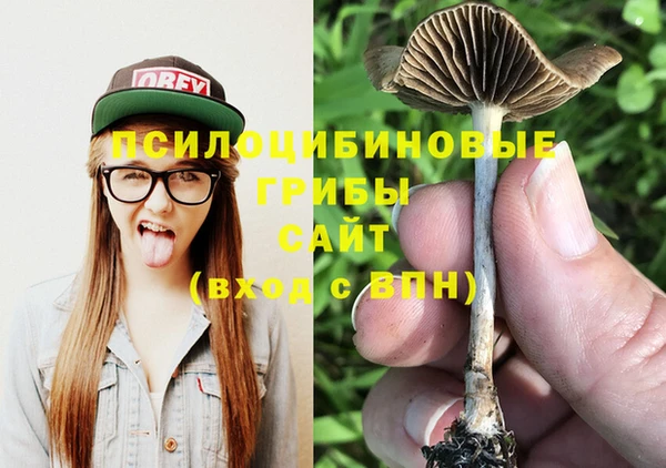 ешки Надым