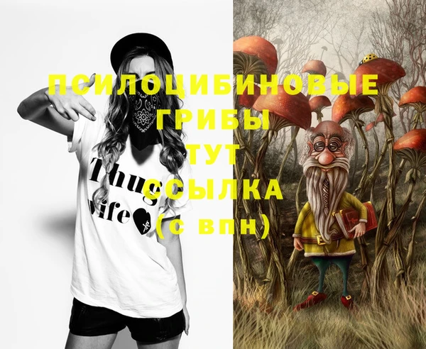 ешки Надым