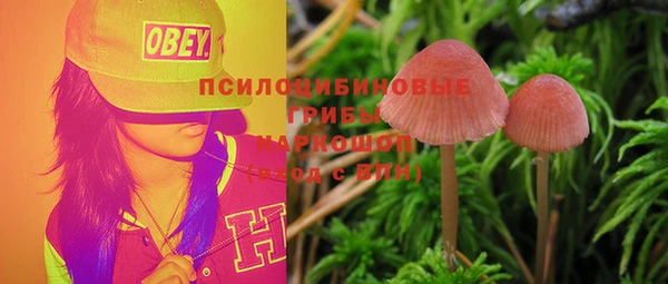 соль курить ск Наволоки