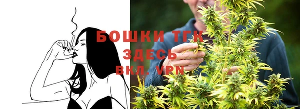 ешки Надым