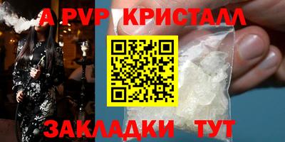 стаф Ярославль