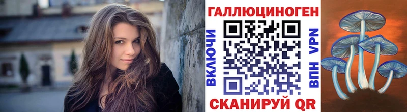 продажа наркотиков  Новокузнецк  площадка какой сайт  Псилоцибиновые грибы Cubensis 