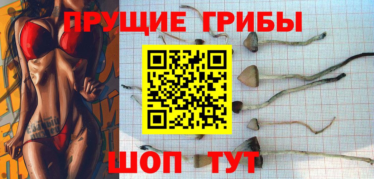 Галлюциногенные грибы MAGIC MUSHROOMS Новокузнецк